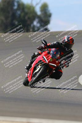 media/Sep-21-2025-TrackDaz (Sun) [[277c75b276]]/C Group/1240pm (Turn 2)/